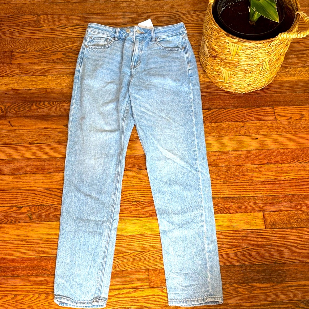 American Eagle Outfitters Light Blue Strigid Mom Jeans